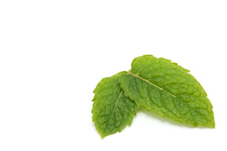 mint leaves isolated on white