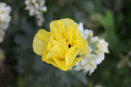 disturbance of natureの写真素材