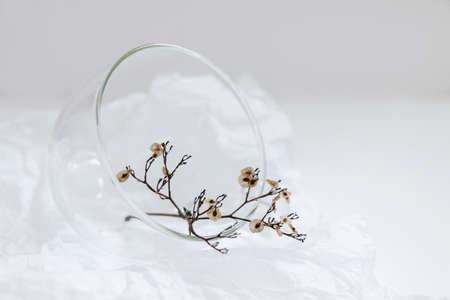 Dry flower in small grass vaseの写真素材