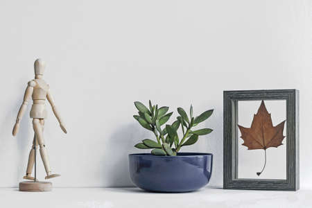 plant with decoration objects on tableの写真素材