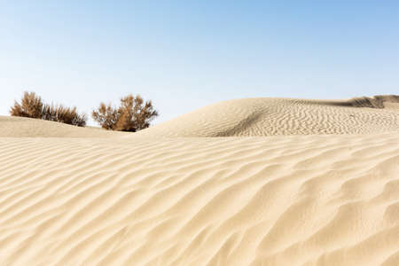 Natural sand waves in desertの写真素材