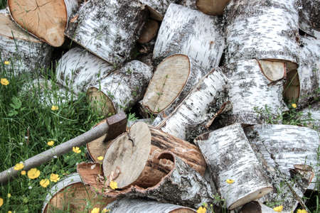 a pile of birch firewoodの写真素材