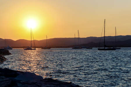 yachts on water at pier at sunset