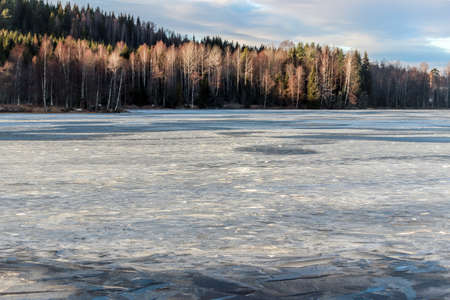 trees with frozen lake in winterの写真素材