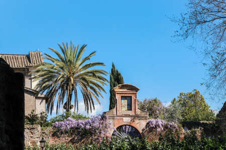 old ruins at roman forumの写真素材