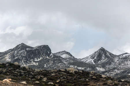 landscape of grassland under snow mountain