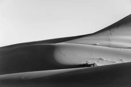 sand dune in desert in black and whiteの写真素材