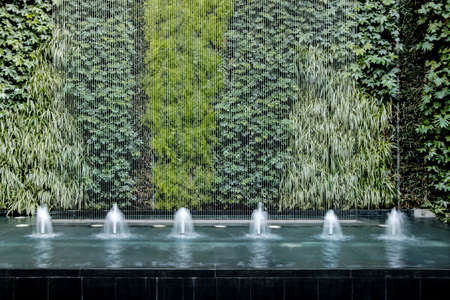 water fountain with living plant wallの写真素材