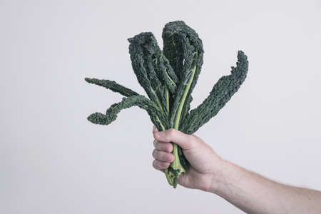 holding green kale leaves in handの写真素材