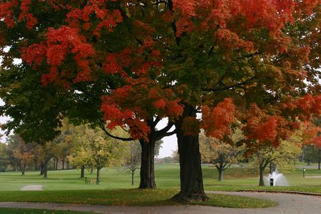 Golf courseの写真素材