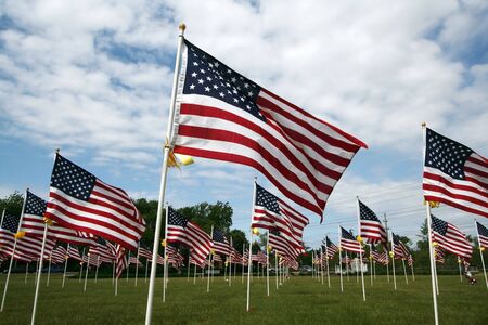 Flags displayed in the park.の写真素材
