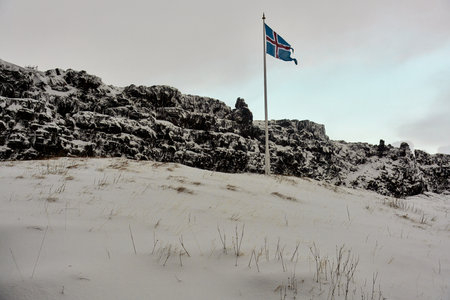 Icelandic flag waving on a snowy landscape with rocky terrain in the background. Location: Thingvellir National Park, Iceland.の写真素材