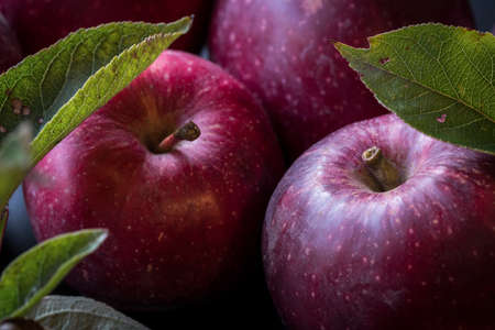 red apple moody leaves close up on dark backgroundの写真素材
