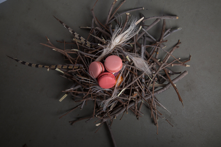 Macaroonsの写真素材