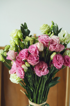 Platycodon bouquetの写真素材