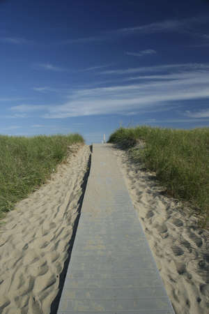 walkway to the beach on summer day