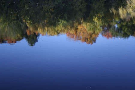 Reflection of colorful autumn leaves and blue sky on waterの写真素材