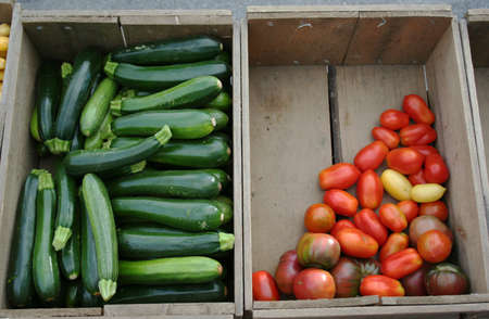 Fresh zucchini and tomatoes at farmers marketの写真素材