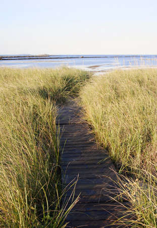 Path through dune grass to get to the beachの写真素材