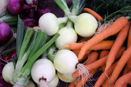 Colorful fresh vegetables carrots and onions の写真素材