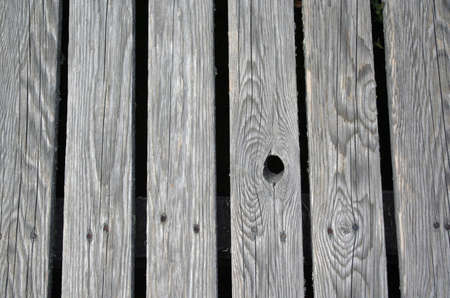 Weathered boards of boardwalk with textureの写真素材