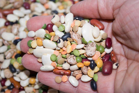 Colorful mixed dried beans held in handの写真素材