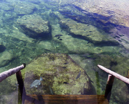 Steps and railing to tropical lagoonの写真素材
