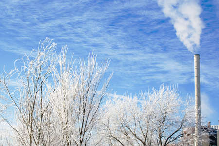 Winter scene with frosted tree branches and industrial smokestack