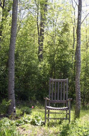 Garden rocking chair in garden near forestの写真素材