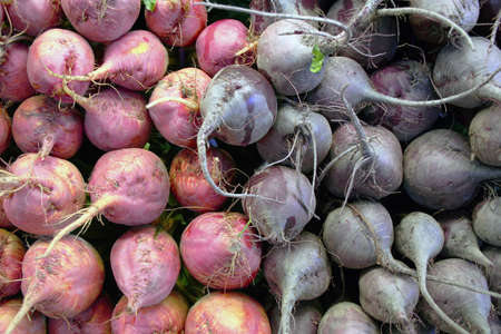 red and purple beets roots up at farmers marketの写真素材