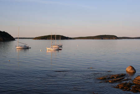 Sailboats at anchor in Bar Harbor Maine at sunsetの写真素材