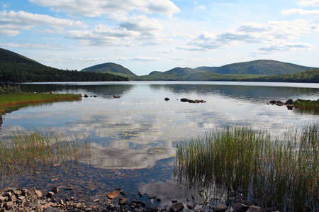 tranquil pond with blue sky reflection and greensの写真素材