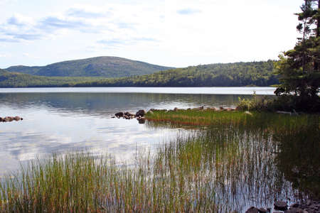 tranquil pond with blue sky reflection and greensの写真素材