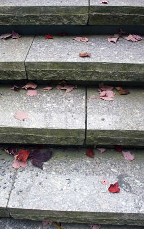 Autumn leaves on steps in parkの写真素材