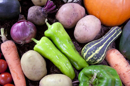 Fresh vegetables spread out for displayの写真素材