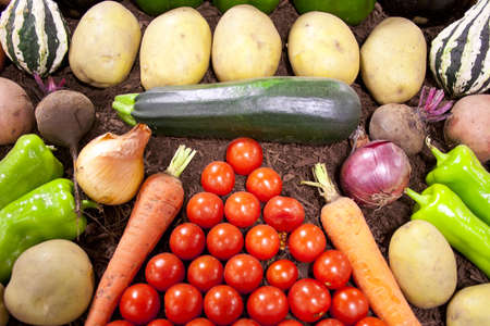Fresh vegetables spread out for displayの写真素材