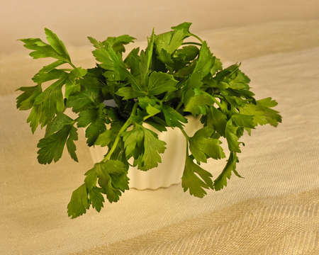 A horizontal close up shot of fresh green flat leaf parsley in a white ramekin on a linen cloth, shallow depth of filed の写真素材
