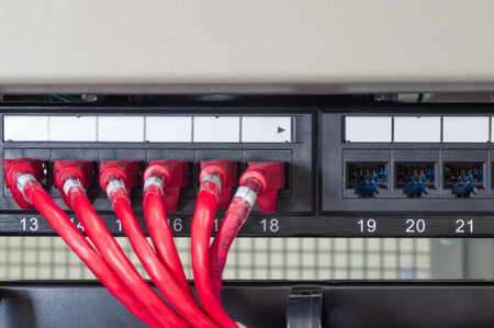 Multiple LAN cables are connected in a patch panel, providing essential network connectivity for devices in server room.の写真素材