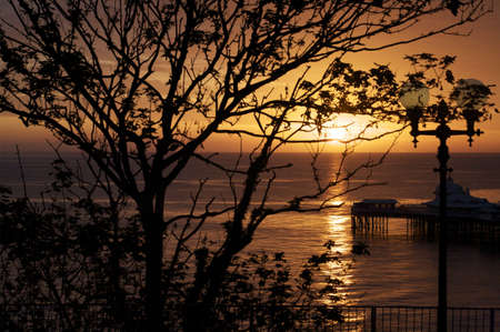 Sunrise over Llandudno pier. In North Wales. Shot through trees to cause silhouettes. 