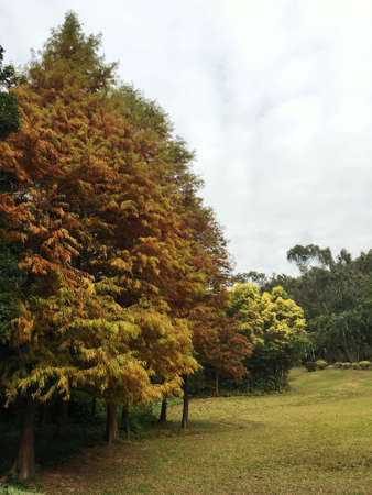 Shenzhen Beacon Hill Park