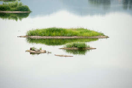 Jinzhou of the river wetlandの写真素材