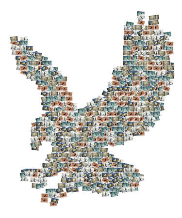 Eagle Pictures Collage - made of pictures of various birds