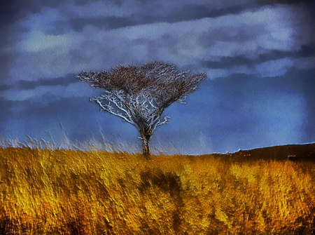 Unique 3D Bare Winter Tree in Open Graasland Painting on Canvasの写真素材