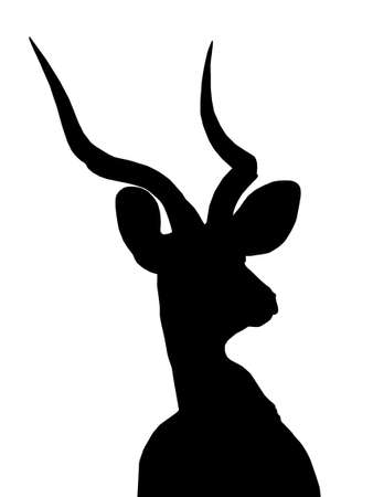 Portrait Picture of Large Kudu Bull Isolated Silhouetteのイラスト素材