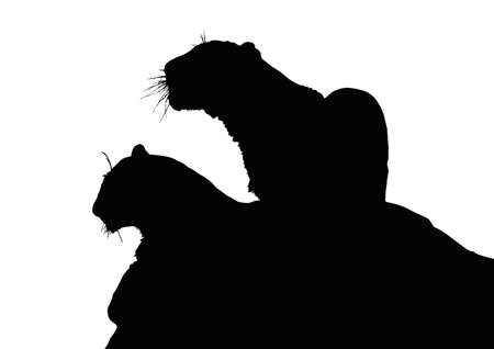 Detailed Portrait Silhouette of Young Leopard Siblings のイラスト素材