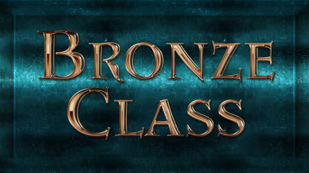 Realistic Chick Metal Bronze Class Award Sign Emblem