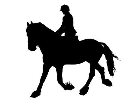 Silhouette of Female Rider on a Lipizzaner horseのイラスト素材