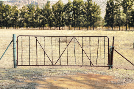Rustic Old Farm Gate to Open Grass Field with Pine Trees