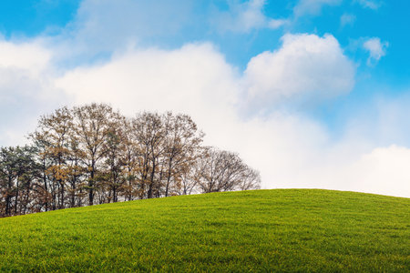 Green meadow and trees under blue sky with white clouds background.の写真素材