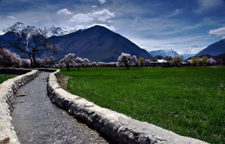 Nature scenery landscape view